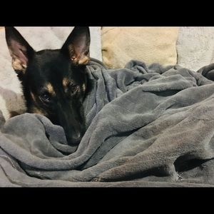 Baby it’s cold outside! ****NOT FOR SALE****